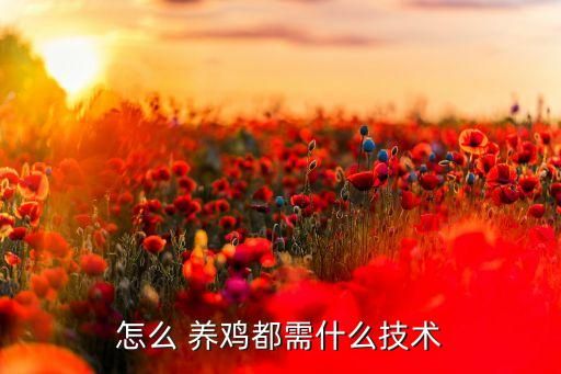 怎么 养鸡都需什么技术