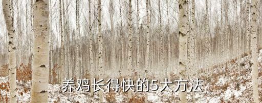  养鸡长得快的5大方法