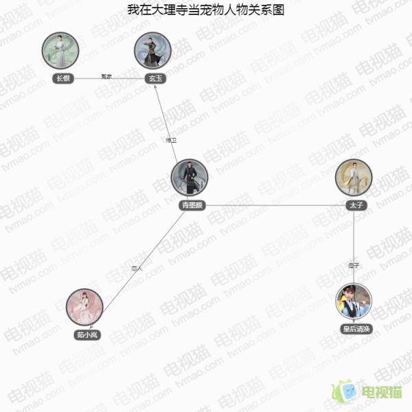 我在大理寺当宠物人物关系图