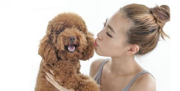 狗没有错，错的是选择，第一次养狗的人就选5种，干净易养活