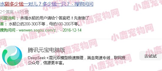 动物貂多少钱