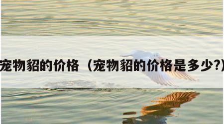 宠物貂的价格（宠物貂的价格是多少?）