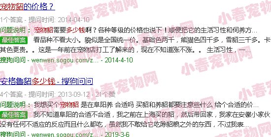 养宠物貂多少钱