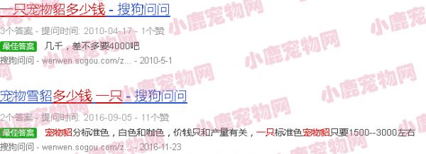 活体宠物貂多少钱一只