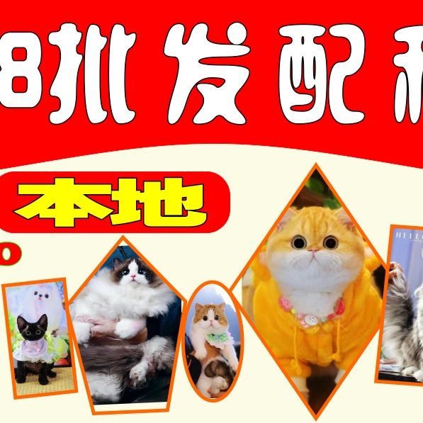 店主头像