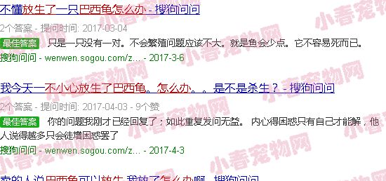 不小心放生了巴西龟怎么办