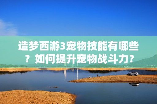 造梦西游3宠物技能有哪些？如何提升宠物战斗力？-第1张图片