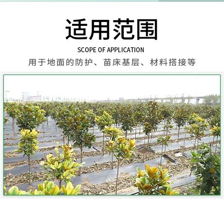 果园菜地防草布PP透气渗水防草布园艺PE地布果园农用保湿抑草布