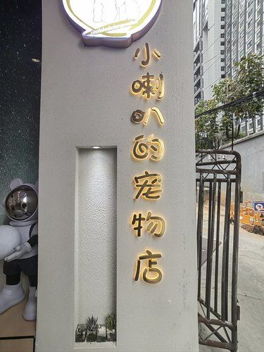 宠物店的暖心事