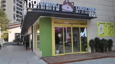 「Running Darling · 宠爱，从不将就」