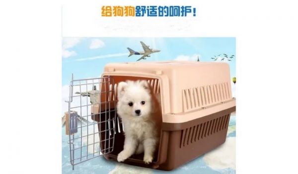 北京到太原宠物托运，太原到北京宠物托运 客户至上,准时可靠