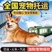 太原正规宠物托运宠物专车客车托运狗