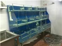 中堂镇定做大排档鱼池/东莞莞穗路定做饭店海鲜暂养缸