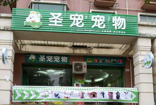 圣宠宠物桂林世纪新城宠物店