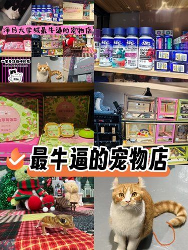 净月大学城旁最牛逼的宠物店