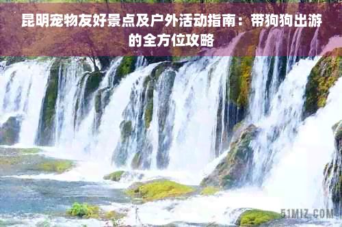 昆明宠物友好景点及户外活动指南：带狗狗出游的全方位攻略