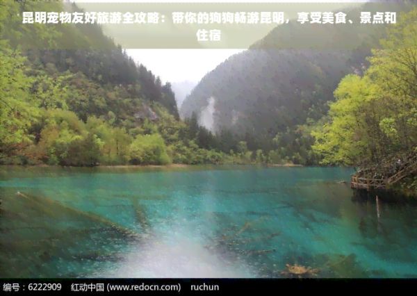 昆明宠物友好旅游全攻略：带你的狗狗畅游昆明，享受美食、景点和住宿