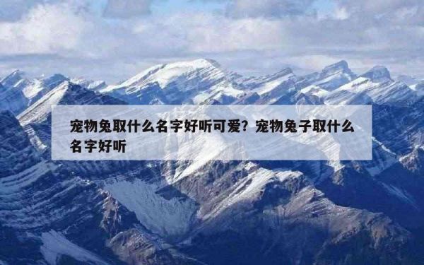 宠物兔取什么名字好听可爱？宠物兔子取什么名字好听