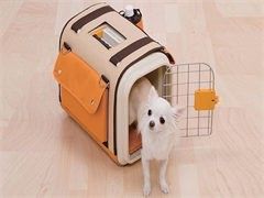 武汉训犬学校-诚信保障