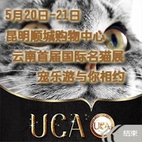 南充西南首届名猫展（即云南首届国际名猫展）在昆举行
