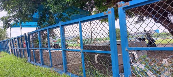 绿宝石宠物公园原围篱因汛期频繁拆卸致变形老旧。（新北市高滩处提供）