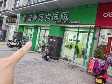 万达的毛宝宝们有福了
