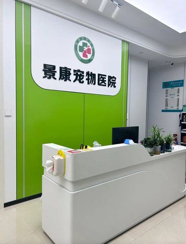 毛孩子的专属医院～医术超赞 医心更美~