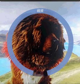 哈狗万能拍照识别最新版本