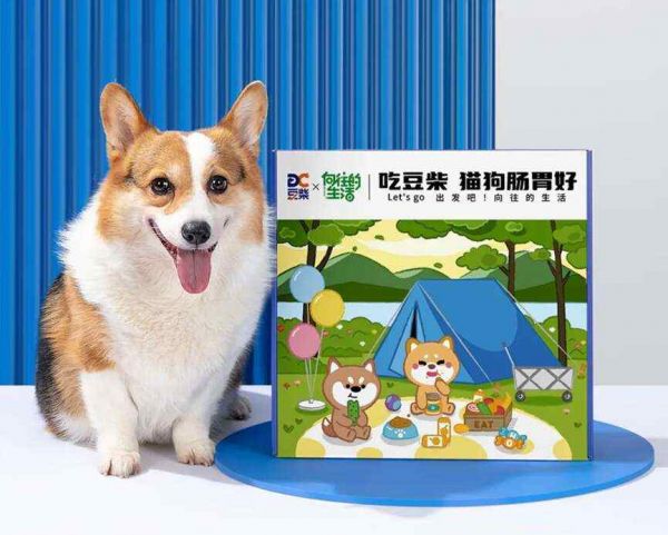 豆柴：肠胃健康正成为中国高端养宠时代最高呼声