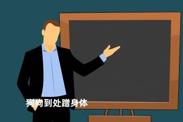 狗狗到处蹭身体