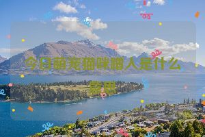 今日萌宠猫咪蹭人是什么意思