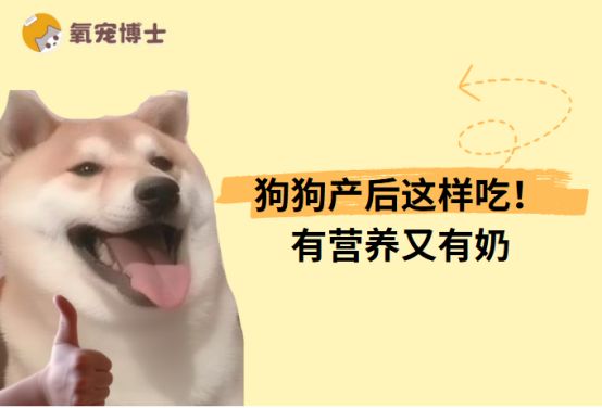 狗狗生产后吃什么有营养又有奶？