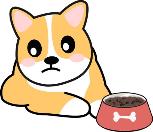 狗狗生产后吃什么？