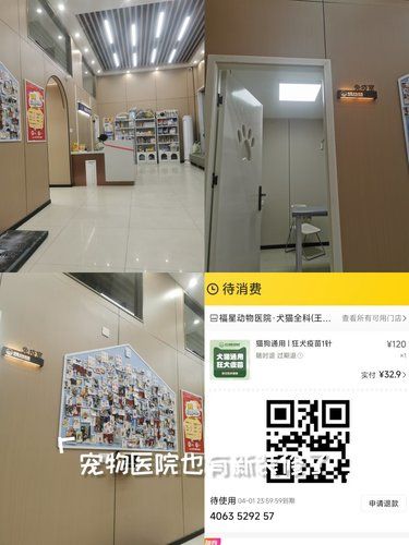 安心陪诊服务，我体验了