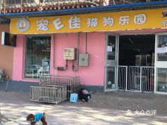 濮阳宠物店电话是多少 濮阳宠物医院地址