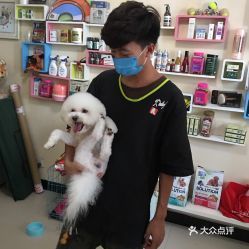【濮阳宠物店电话】一一快速找到宠物店给宠物更好的生活！