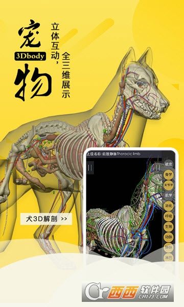 3Dbody宠物