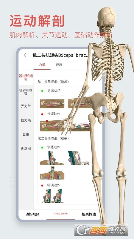 3Dbody宠物(3Dbody解剖)截图2