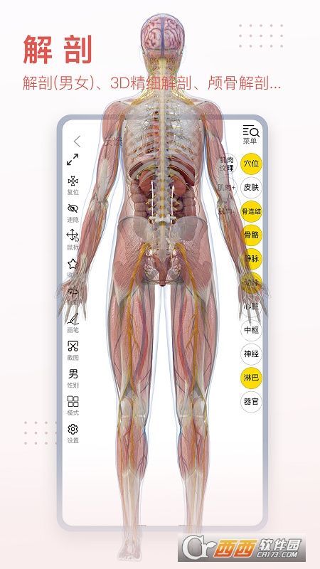 3Dbody宠物(3Dbody解剖)截图3