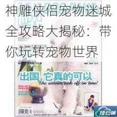 神雕侠侣宠物迷城全攻略大揭秘：带你玩转宠物世界