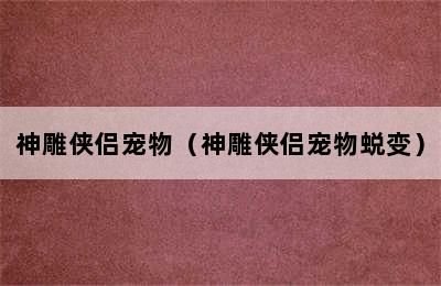 神雕侠侣宠物（神雕侠侣宠物蜕变）
