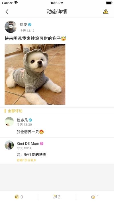 宠乐园( 宠物服务)