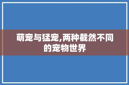 萌宠与猛宠,两种截然不同的宠物世界