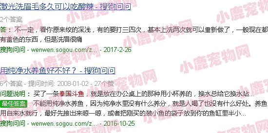 泰国斗鱼苗多大开始洗色
