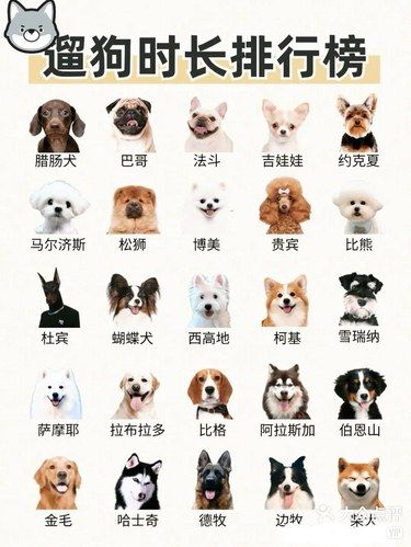 今天你达标了嘛