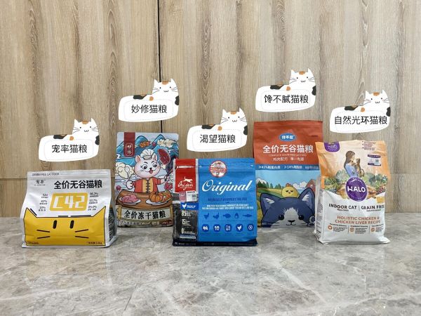 猫咪真的很笨吗?其实很多人都它们了!
