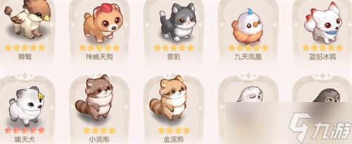 奥比岛手游五星宠物在哪抓