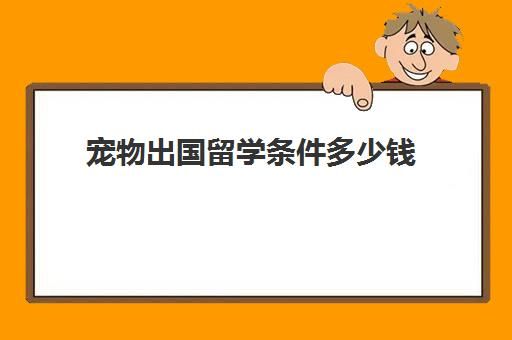 宠物出国留学条件多少钱(带宠物出国留学很麻烦吗)