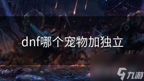 dnf哪个宠物加独立