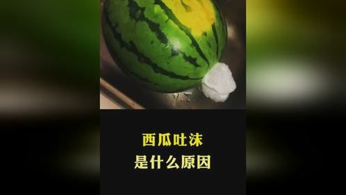 西瓜吐沫是什么原因